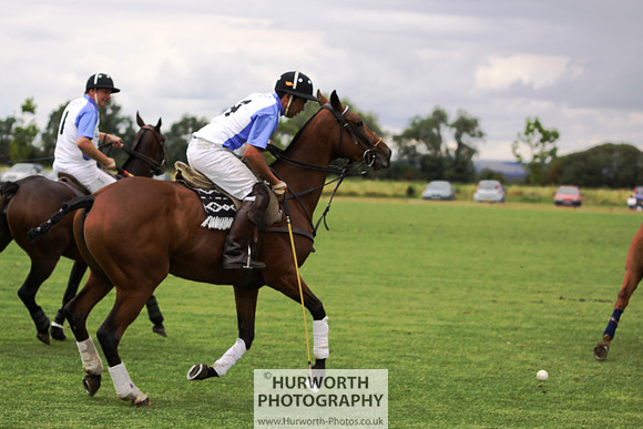 White Rose Polo 026