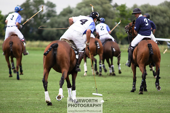 White Rose Polo 027