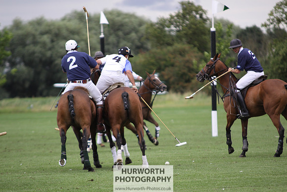 White Rose Polo 028