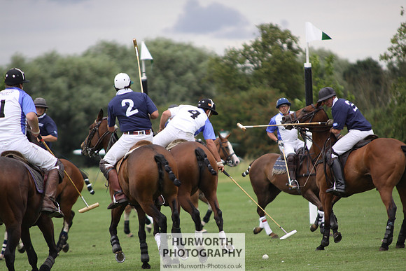 White Rose Polo 029