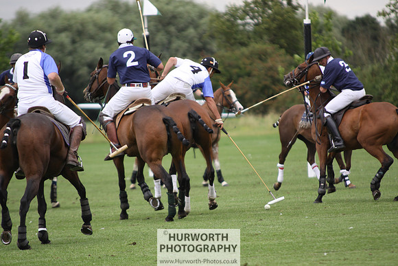 White Rose Polo 030