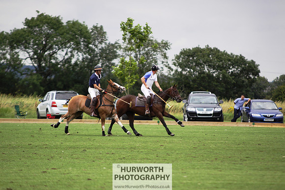White Rose Polo 031