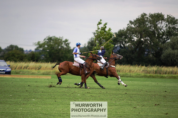 White Rose Polo 032