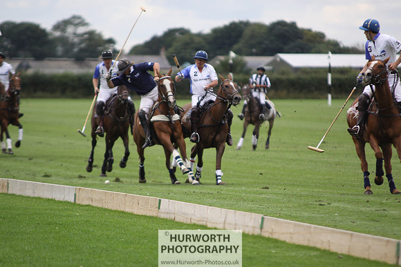 White Rose Polo 033
