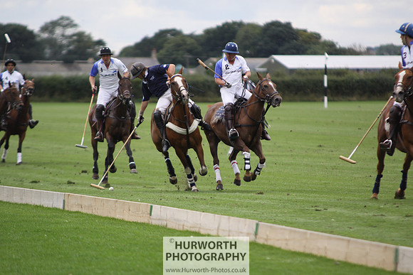 White Rose Polo 034