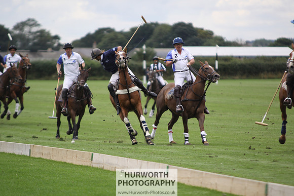 White Rose Polo 035
