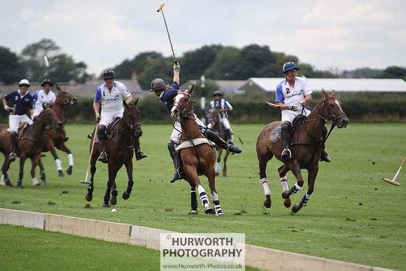 White Rose Polo 036