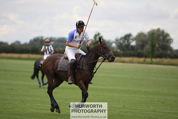 White Rose Polo 037
