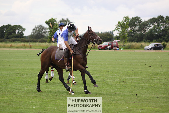 White Rose Polo 040