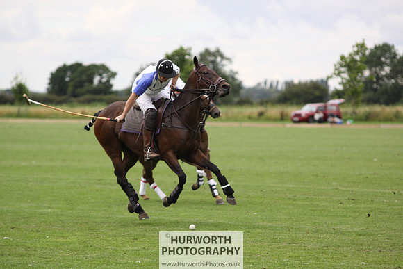 White Rose Polo 039