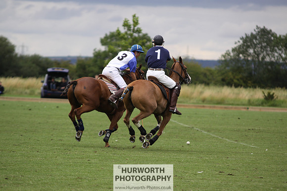 White Rose Polo 042