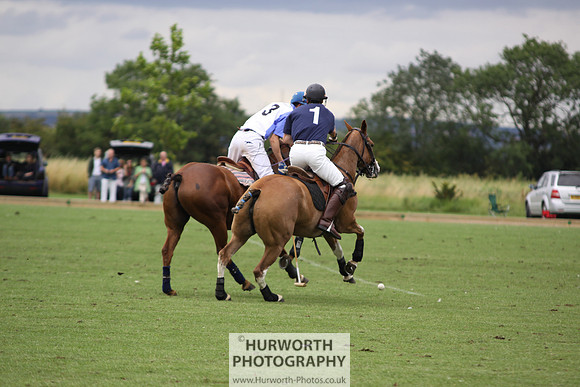 White Rose Polo 043
