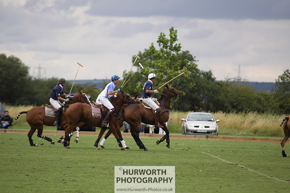 White Rose Polo 046