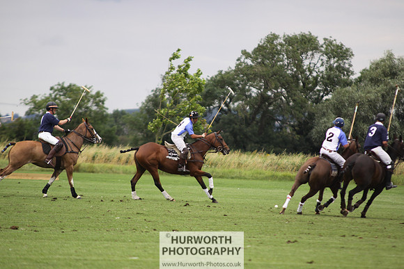 White Rose Polo 048