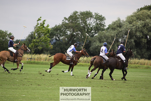 White Rose Polo 049