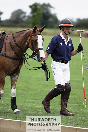 White Rose Polo 058