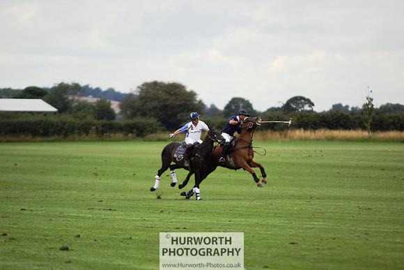 White Rose Polo 061