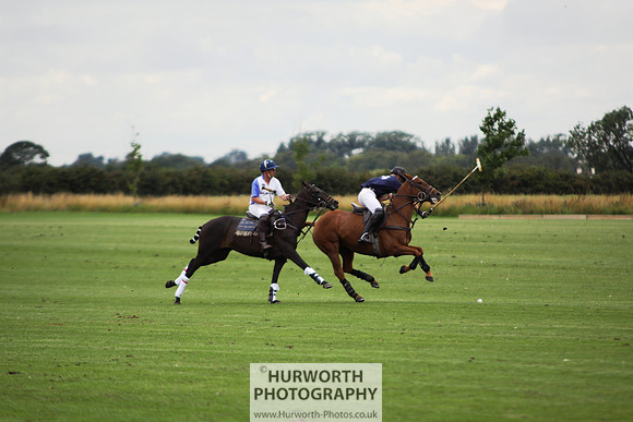 White Rose Polo 062
