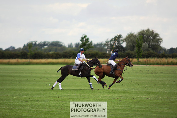 White Rose Polo 063