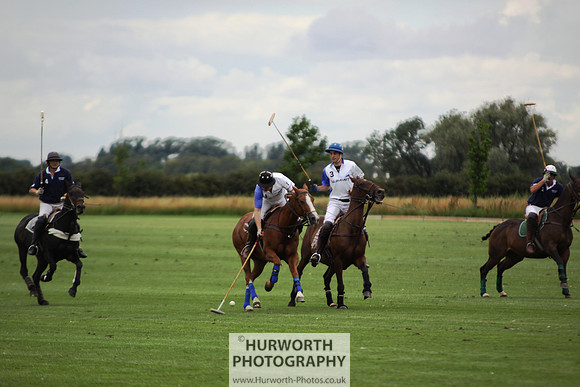 White Rose Polo 064