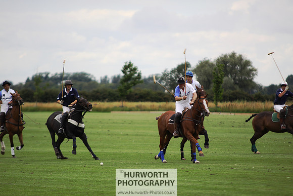 White Rose Polo 065