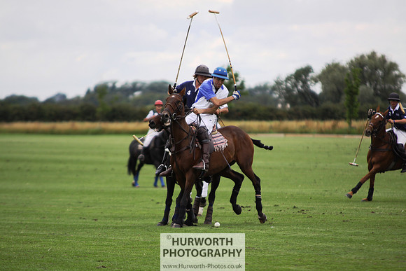White Rose Polo 066