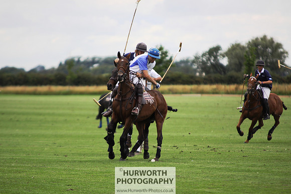 White Rose Polo 067