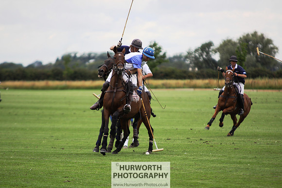 White Rose Polo 068