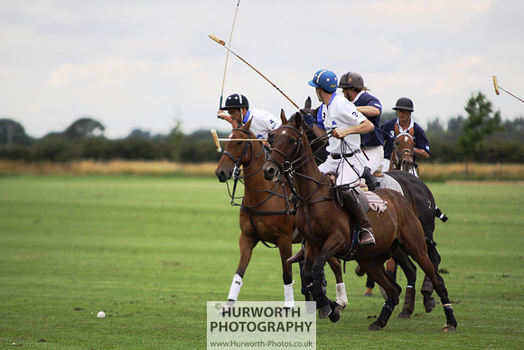 White Rose Polo 069