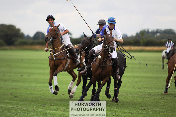 White Rose Polo 070