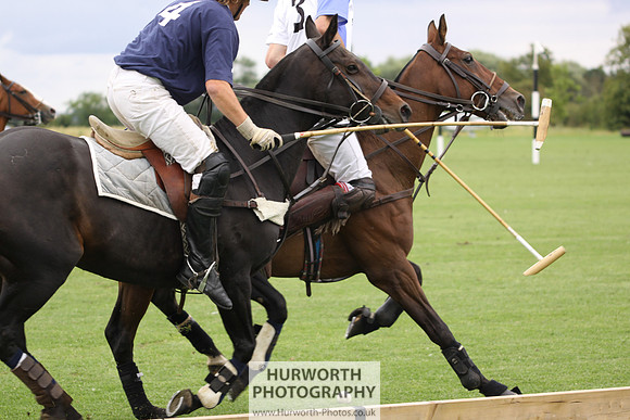 White Rose Polo 074