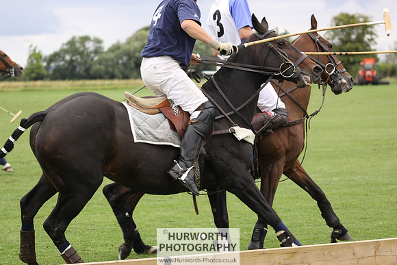 White Rose Polo 075