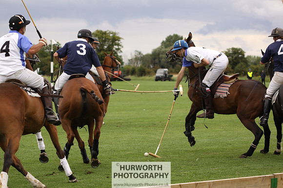 White Rose Polo 076