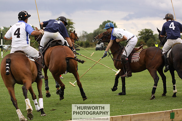 White Rose Polo 077