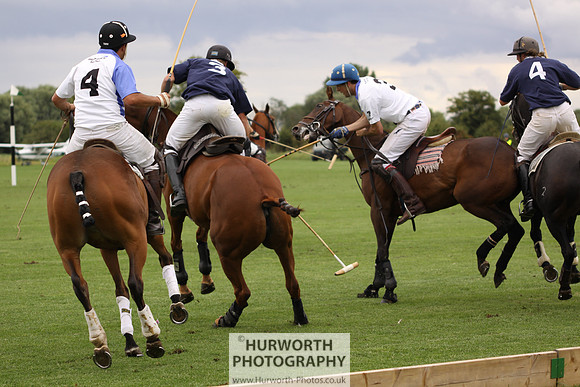 White Rose Polo 078