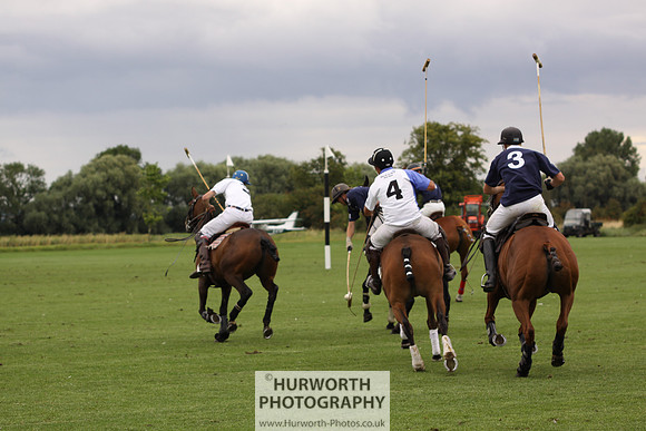 White Rose Polo 079
