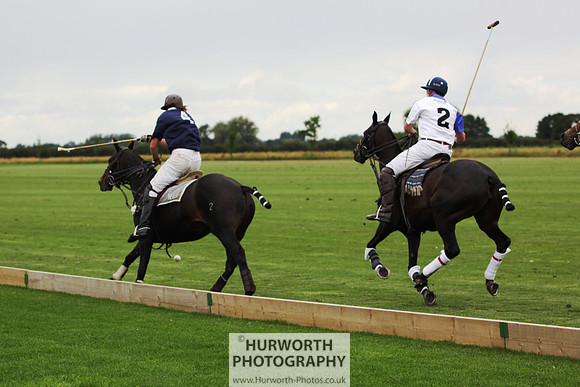 White Rose Polo 080