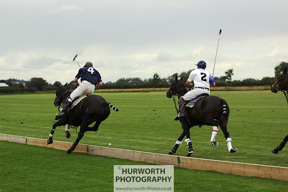 White Rose Polo 081