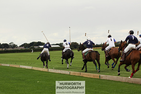 White Rose Polo 082