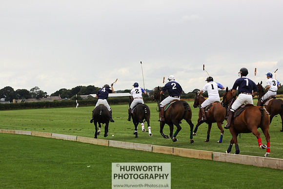 White Rose Polo 083