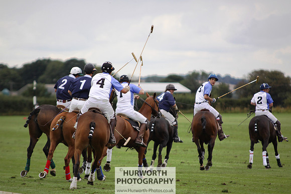 White Rose Polo 084