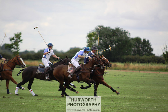 White Rose Polo 085