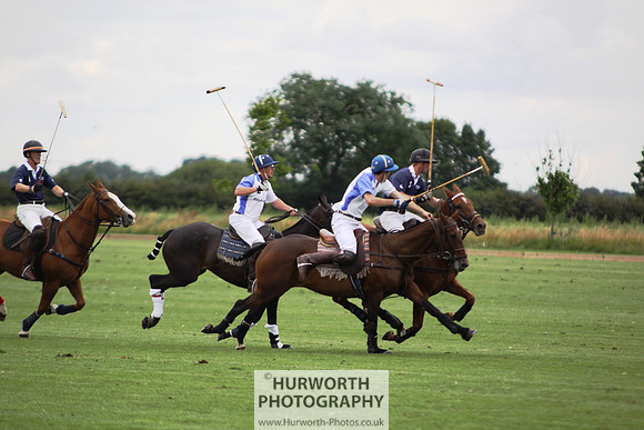 White Rose Polo 086