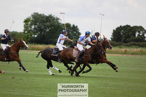White Rose Polo 087