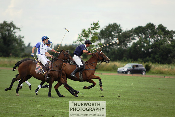 White Rose Polo 088