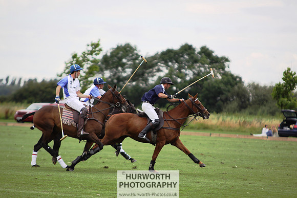 White Rose Polo 089