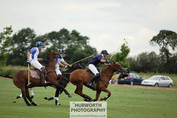 White Rose Polo 090