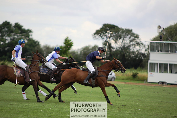 White Rose Polo 091