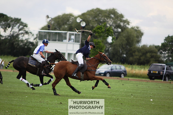 White Rose Polo 092