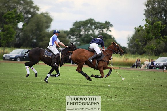 White Rose Polo 094